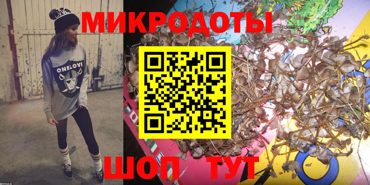 Галлюциногенные грибы MAGIC MUSHROOMS Сланцы